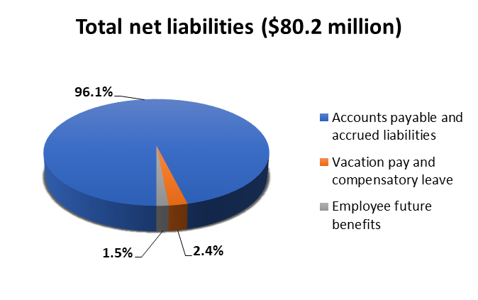 Total net liabilities